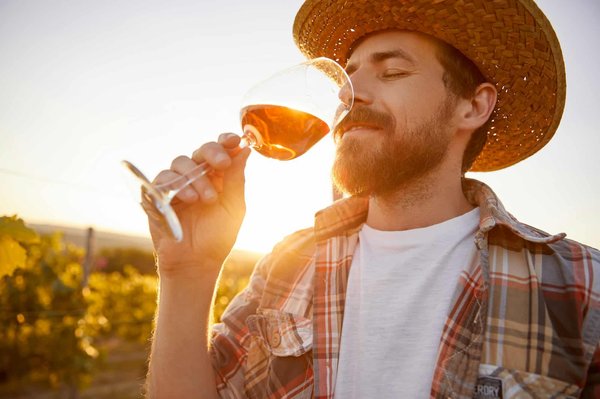 Découvrez le vin nature d'Auvergne et ses vignerons